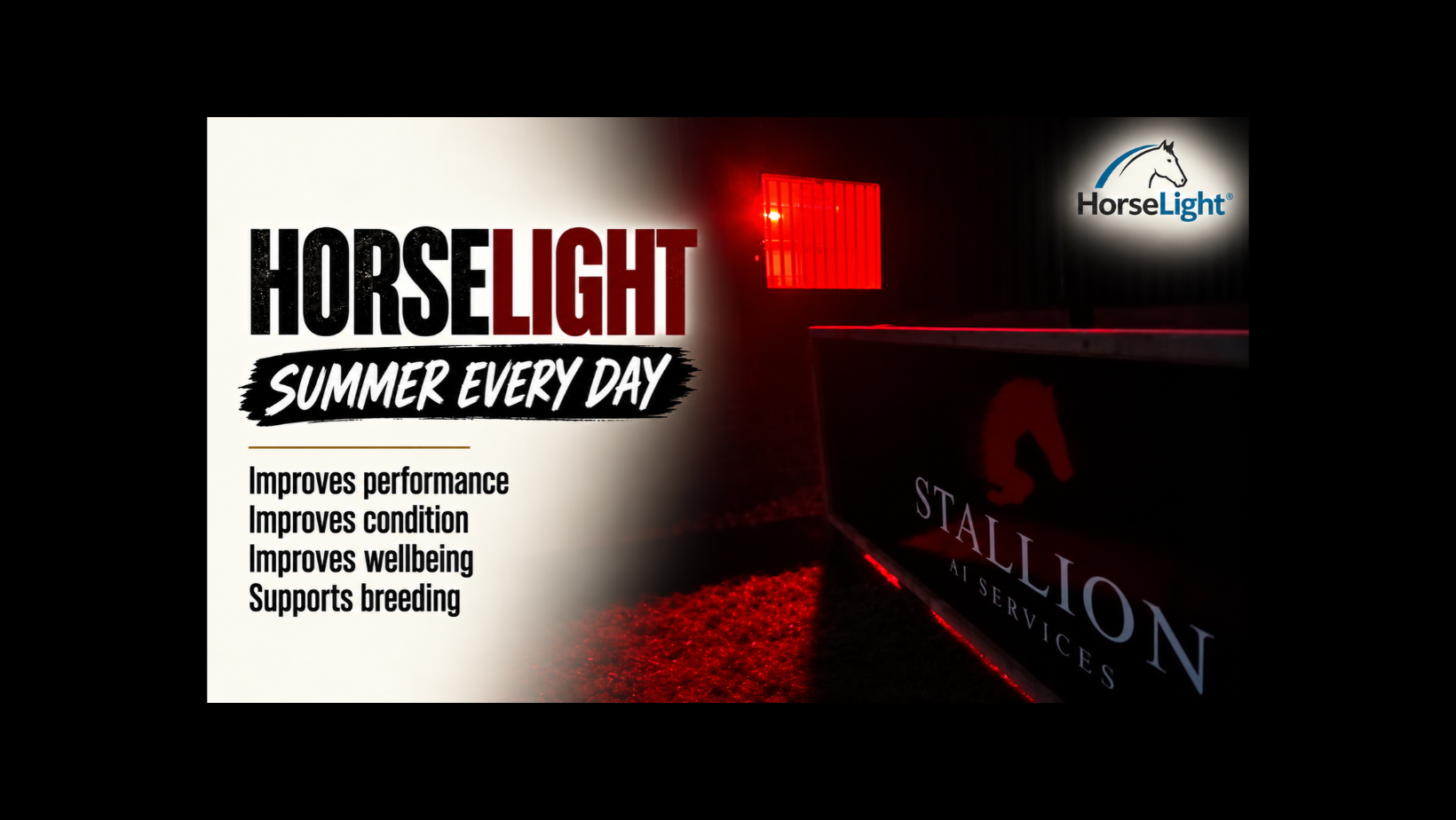 Stallion AI Services Launches HorseLight Collaboration